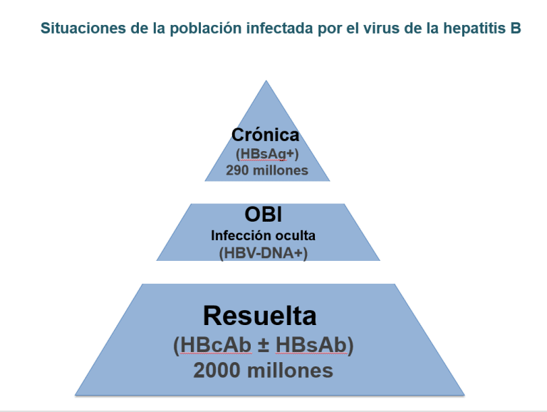 Alerta Por La Transmisión De La Hepatitis B De Forma Oculta | UNIR