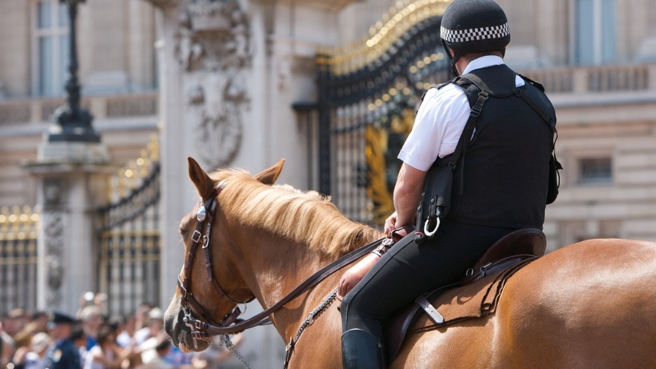 inspector de policía