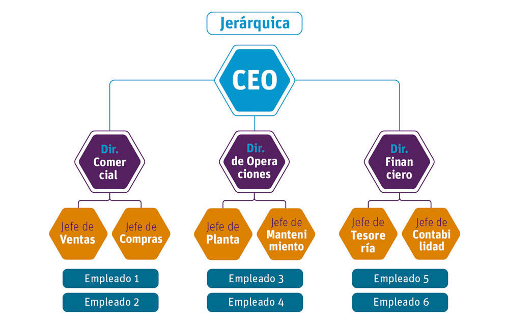 Estructura Empresarial U Organizacional Concepto Y Tipos 3383