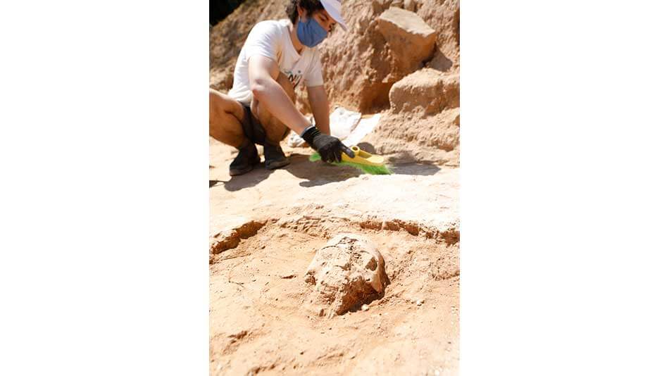 Primeros hallazgos campo de Trabajo Calagurris UNIR