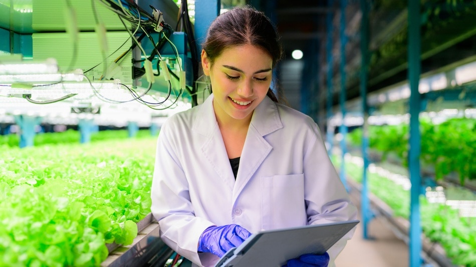 Técnico cotejando datos de un alimento