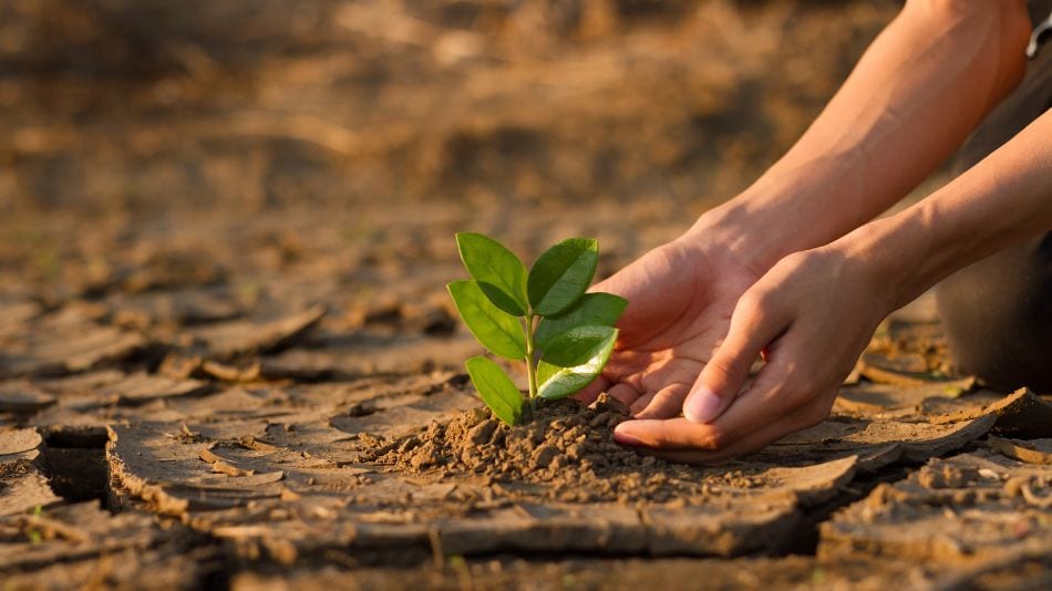 La colaboración entre la Clínica Jurídica de la UNIR y Greenpeace invita a los estudiantes de la Facultad de Derecho a ahondar en la jurisprudencia y normativa relacionadas con la crisis climática