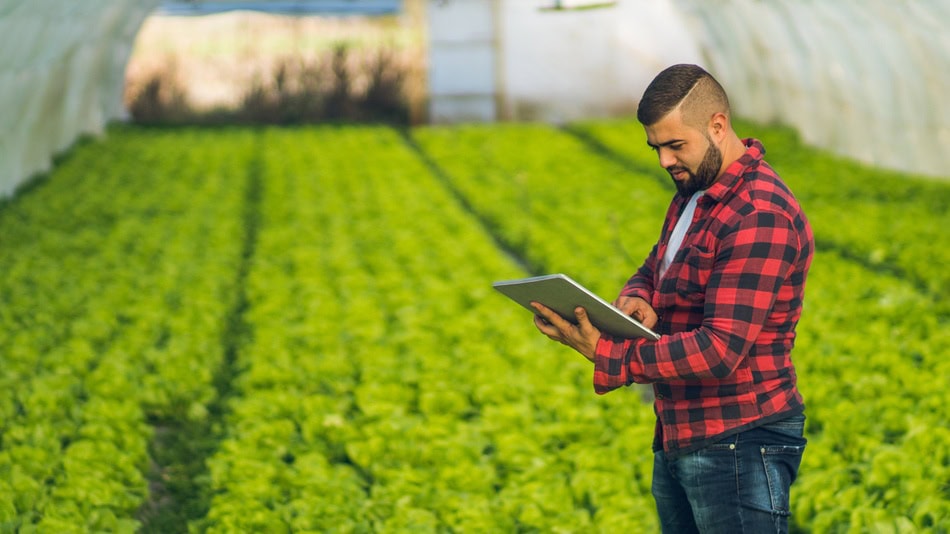 La agricultura 4.0 se basa en el aprovechamiento de tecnologías avanzadas