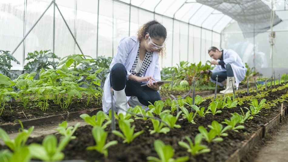 La biotecnología agrícola constituye un campo en el que convergen la ciencia y la agricultura