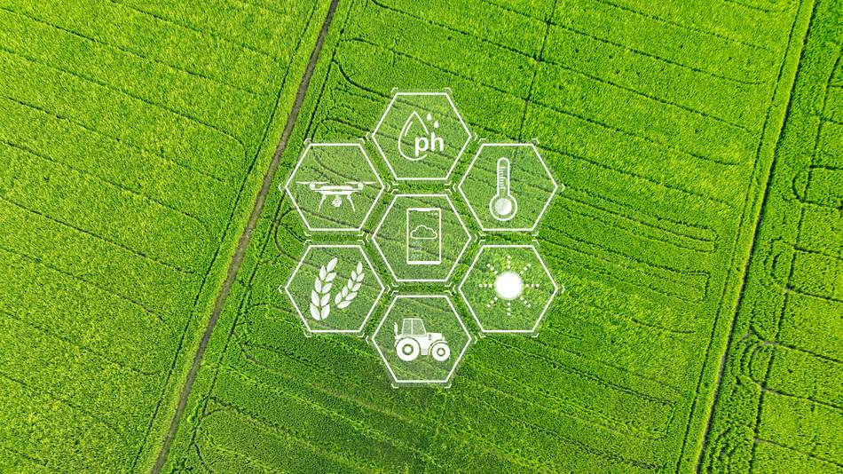 Algunos sectores como industria alimentaria se están viendo más beneficiados con i+d