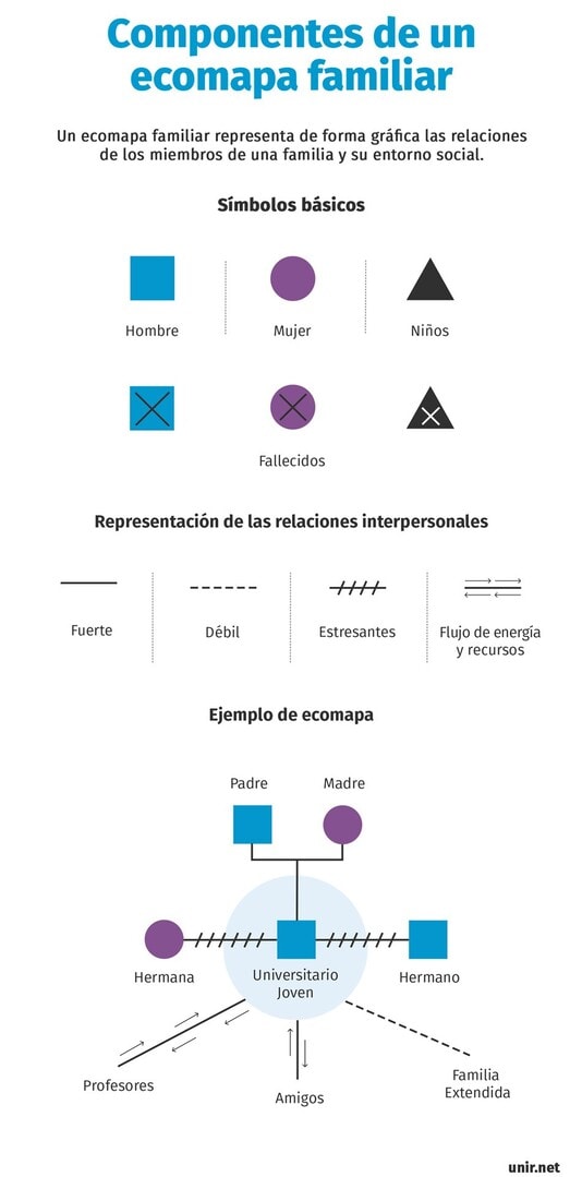 Gráfico de componentes de un ecomapa familiar