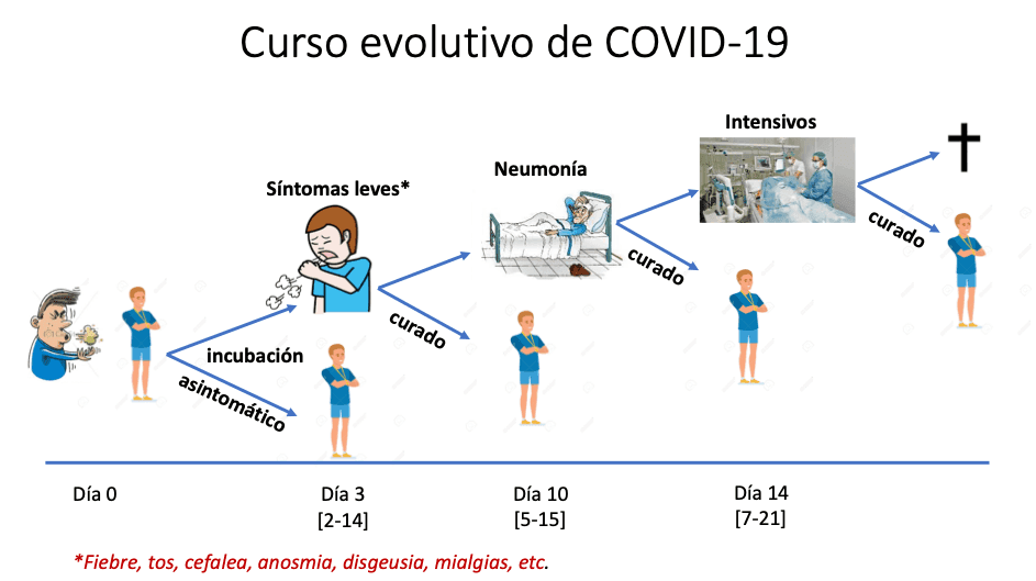 coronavirus