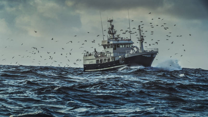 Derecho marítimo. Barco pesquero. 