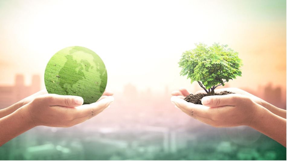 EINF, Responsabilidad Social Corporativa; manos sosteniendo un mundo verde y un árbol pequeño